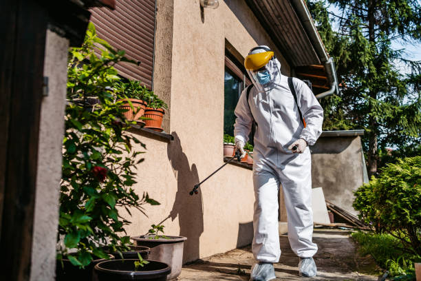 Best Termite Control Services  in Windy Hills, KY