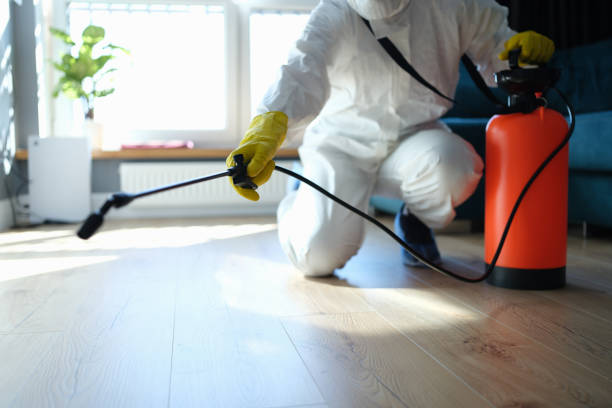 Best Pest Removal Services  in Windy Hills, KY