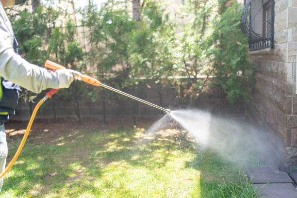 Best Affordable Pest Control Services  in Windy Hills, KY