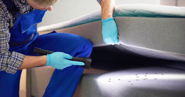 Best Bed Bug Extermination  in Windy Hills, KY
